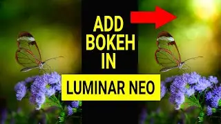 Luminar Neo. How to add REALISTIC bokeh in Neo. Not with overlays.