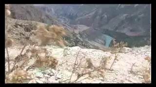 Познавательный видеословарь рыбака  55