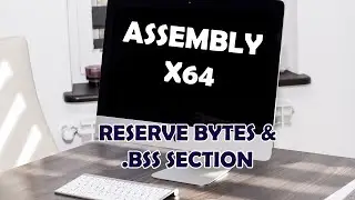 Linux Assembly Language x64 # 5 - Reserving Bytes and the  bss Section