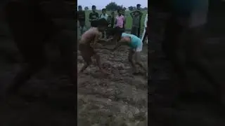 मलखान का विवाह part 2 | kartoon alha 😂 #shorts #trending #viral