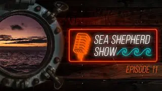 The Sea Shepherd Show - Episode 11 - Whales!
