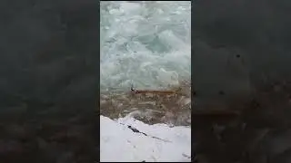 19 ноября 2023 г.