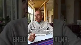 Паата Амонашвили. Внешняя мотивация: как ослик за морковкой…