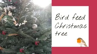 Bird feed Christmas tree, outdoor festive fun