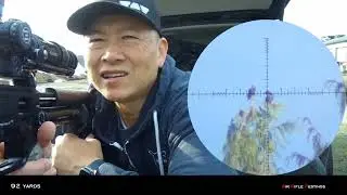 Starlings and Rocks Plinking at 132 yards (edited)