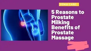 5 Reasons to Prostate Milking Benefits of Prostate Massage
