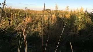 д. Афанасово