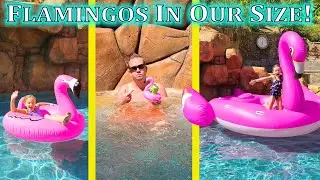 Buying Pink Flamingos NOT in Our Size!
