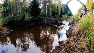 Охота #294 коллективная на бобра