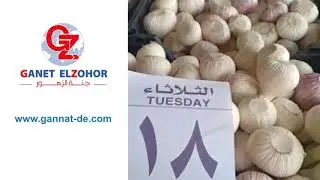 Fresh Garlic Ganet El Zohor Co. For Trade