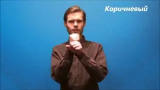 Русский жестовый язык. Урок 11. Цвета
