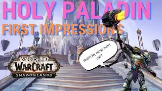 Holy Paladin first look! | Shadowlands | Wings is up!