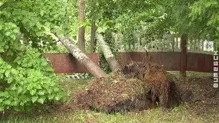 Небывалый ветровал в Шумилинском районе (29.06.2021)