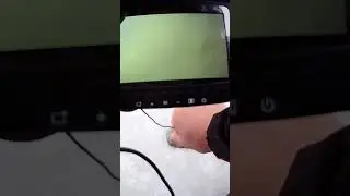 Судак и Щука плавают вместе