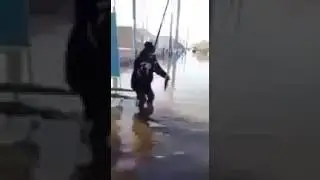 Рыбалка посреди города