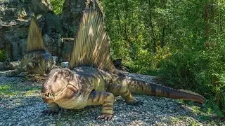 Come si è istinto il dimetrodonte?