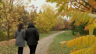 Une erreur de la DPJ prive une fille de sa mère pendant deux ans - reportage