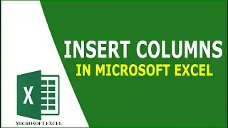 How to Insert Column in Excel | Inserting A New Column  In Excel