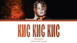 Монеточка 'Кис Кис Кис' (Текст песни)