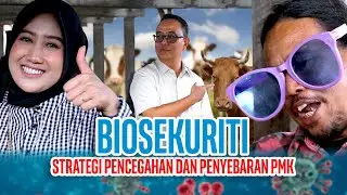 Biosekuriti - Strategi Pencegahan Penyebaran PMK