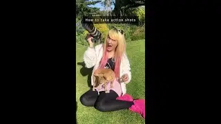 How to take action shots of your dog! 🤩