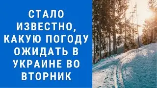 Погода на завтра, погода 22 февраля