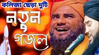 মোন মাতানো দুটি গজল মাওলানা আমিনুদ্দিন রেজভী maulana aminuddin rajve gojal