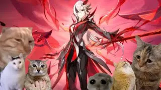 Pulling for Arlecchino, but meme cats help me (and a hamster)