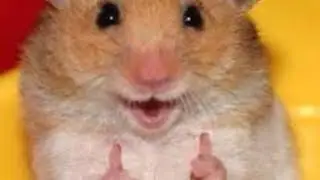 Regalando  codigos de Fall Guys!!! (Cada 20 subs)