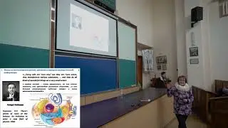 Как белки 