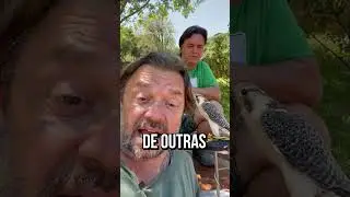 ESSE É O SER VIVO MAIS RÁPIDO DO PLANETA! 