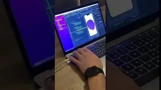 developer life 
