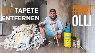Alte Tapete entfernen und restlos ablösen | Mit Olli im Haus renovieren