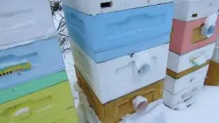 зимовка пчел на воле с открытым сетчатым дном , хороший результат в декабре по измерениям приборами