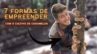 7 Formas de Empreender com o Cultivo de Cogumelos