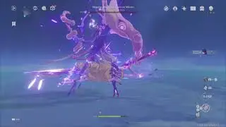 Genshin Impact - Ei VS Raiden Shogun [Magatsu Mitake Narukami no Mikoto]