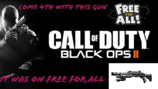 Free for all on raid black ops 2