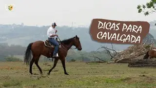 Treinar antes da cavalgada?!