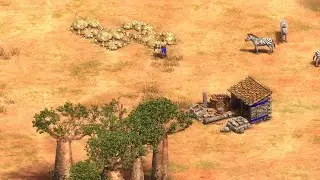 AoE2 Ambience - Gold Mine & Africa