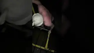 Папаян открывает плавательный сезон