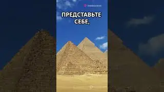 Топ факт о египетских  #interestingfacts #science #facts #interesting #funny #fun
