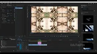 How to Create a Dynamic Spinning Transition in Premiere Pro | Smooth Spin Effect