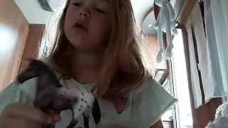 Mijn nieuwste schleich paard