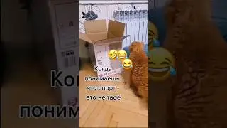 😂 КОГДА ПОНИМАЕШЬ, ЧТО СПОРТ - ЭТО НЕ ТВОЁ 😂
