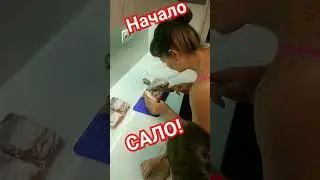 Копчёное сало! часть 1 супер вкусный рецепт! Сало начало!