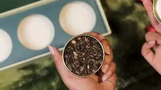 The Best X-mas Gift is here!