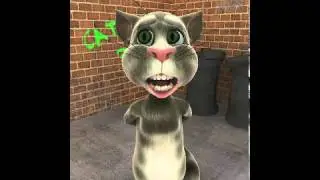 Talking Tom I'm still hot