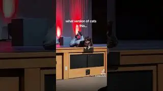 Cats the Musical? 