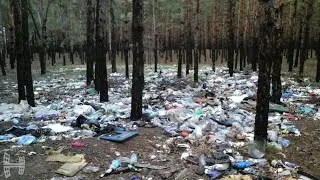 Ужас в лесу Сотниково 😱