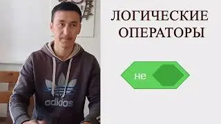 4 класс. Цифровая грамотность. Логические операторы